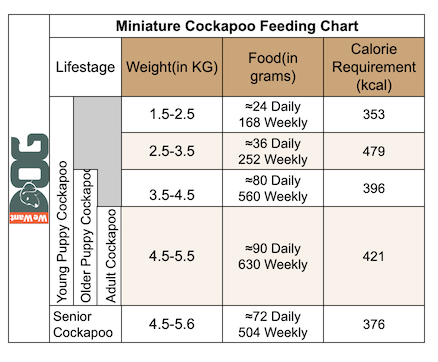 Miniature Cockapoo Feeding Chart