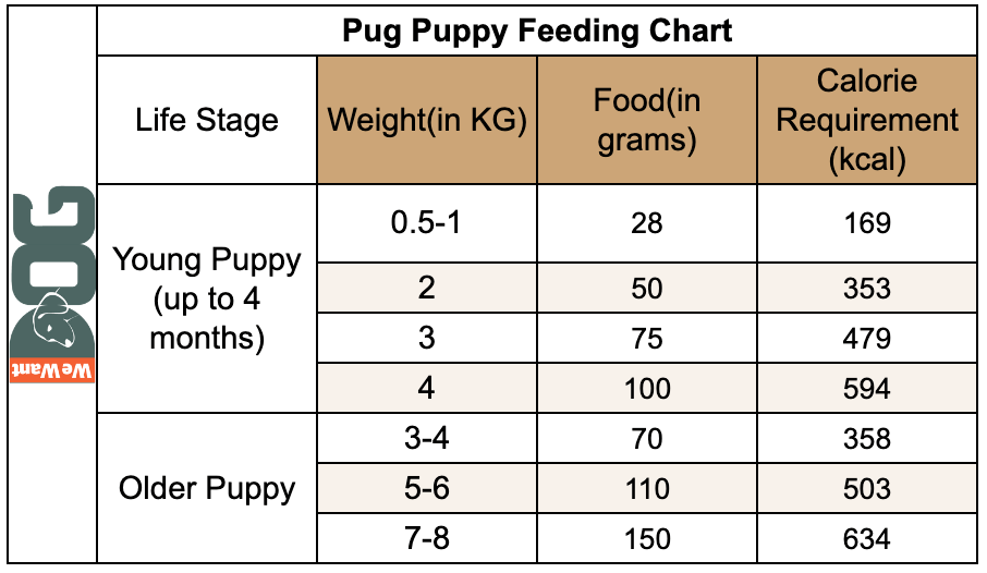 Pug Feeding Chart UK How Much To Feed A Puppy Pug WeWantDogs