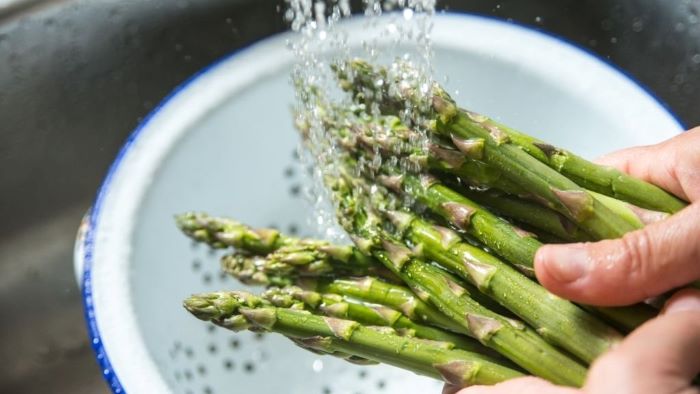 is it safe for dogs to eat asparagus