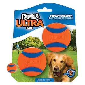 ChuckIt! Ultra Ball Dog Toy