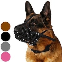 CollarDirect Dog Muzzle