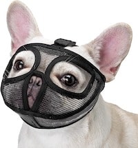 Short Snout Dog Muzzle