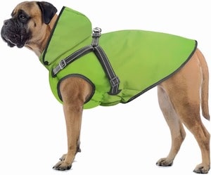 Oslueidy Dog Raincoat 