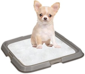 PAWISE Indoor Dog Toilet Training Pads Tray