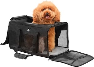 X-ZONE PET Airline Approved Travel Carrier