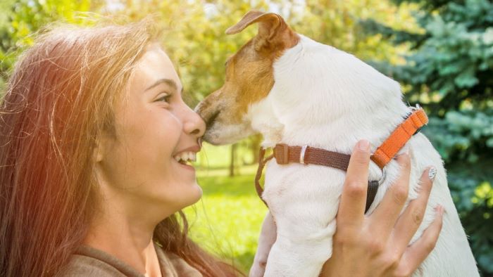 Why Does My Dog Nibble My Nose? - WeWantDogs