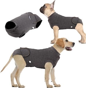 Emwel Dog Surgery Recovery Suit for After Surgery