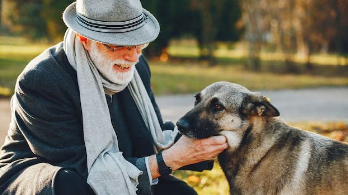 Best Dog Breeds For Senior Citizens - WeWantDogs