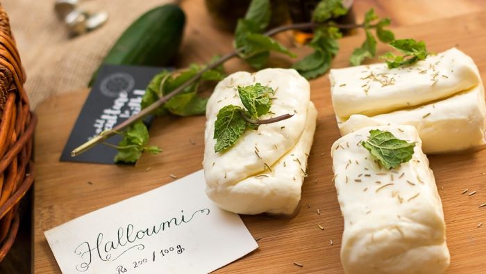 Can Dogs Eat Halloumi? Is It Safe for Your Dogs? - WeWantDogs