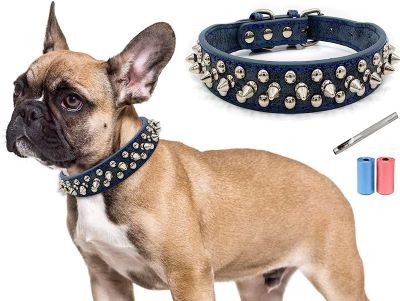 spiked collar for dog