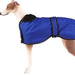 10 Best Waterproof Dog Coat With Legs UK - WeWantDogs