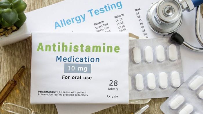 Antihistamines for Dogs — Everything You Need to Know - WeWantDogs