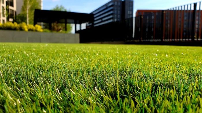 how-to-clean-fake-grass-from-dog-urine-a-pawsitive-solution-wewantdogs