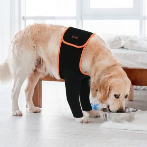 Dog Recovery Sleeve to Stop Licking Wound