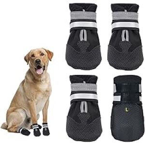 Dricar Dog Shoes