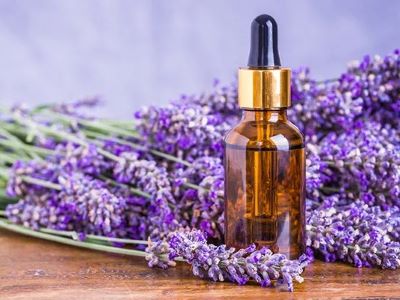 Essential Oil Toxic for Dogs