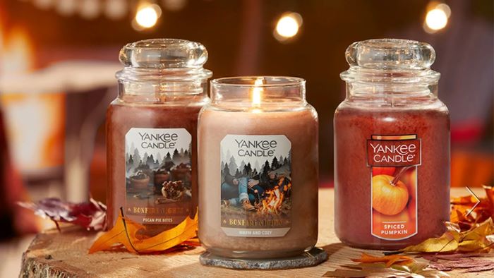 Are Yankee Candles Safe for Dogs? Handle With Care - WeWantDogs