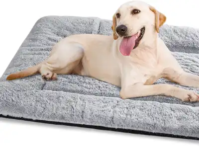 large-dog-bed-boadan