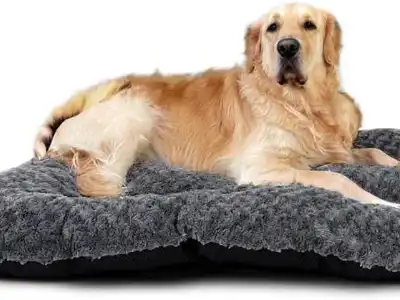 large-dog-bed-victoria-and-carter