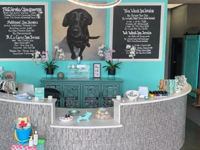 How Much Does Dog Grooming Cost?