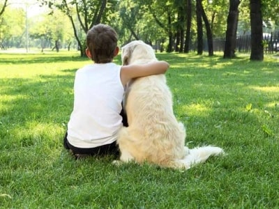 Do You Have a Stronger Bond With Your Dog?
