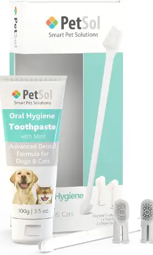 PetSol Dental Care Kit for Dogs