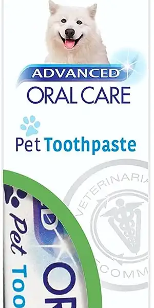 Nylabone Advanced Oral Care Natural Toothpaste 