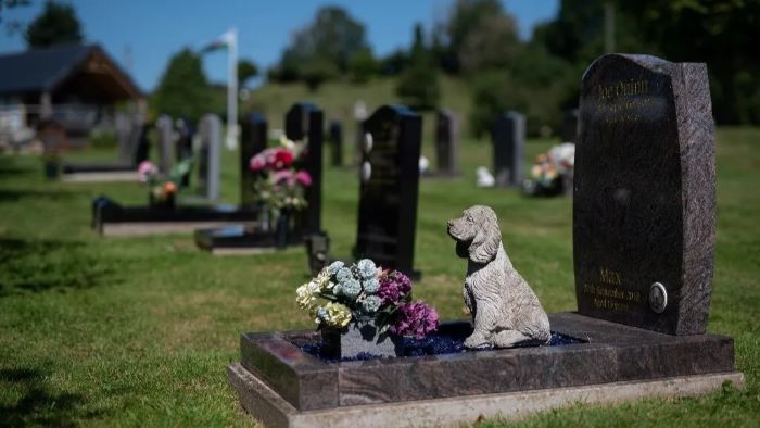 What To Do When Dog Dies?