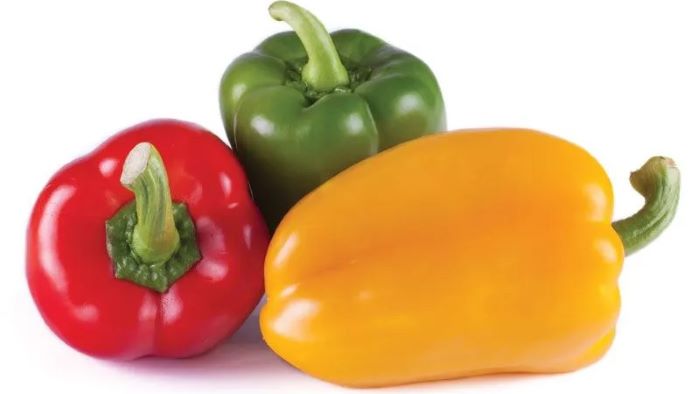 Can Dogs Eat Bell Pepper